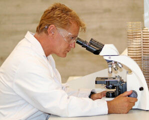 Doctor or researcher observing a microbiological sample under a microscope. Concept of infection...