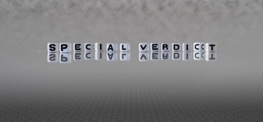 special verdict word or concept represented by black and white letter cubes on a grey horizon background stretching to infinity