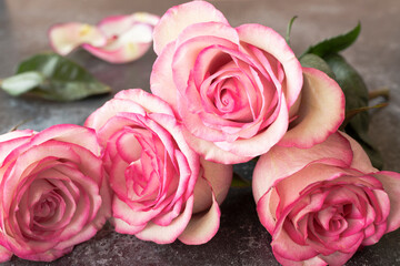 Bunche of rose pink color , fresh flowers on table with beautiful texture, pink roses for love message for any occasion, nature lovers , flowers and plants ,four open pink roses 