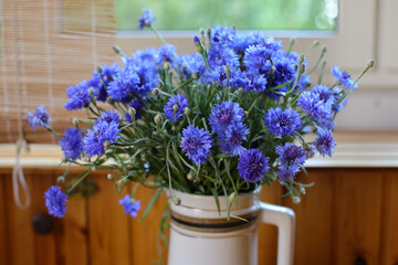 Bouquet of wild blue cornflowers in a vase by the window, blurred floral background