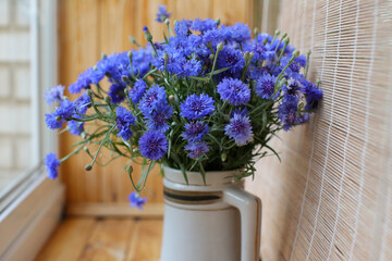 Bouquet of wild blue cornflowers in a vase by the window, blurred floral background