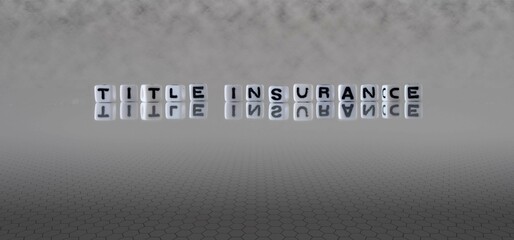 title insurance word or concept represented by black and white letter cubes on a grey horizon background stretching to infinity