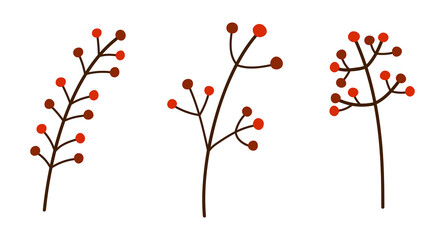 Set of autumn isolated branches with berries. Decorative red berries. Vector botanical illustration of seasonal berries.