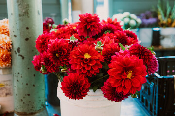 Bright and colorful red flowers for sale at the Seattle Pike's Market farmer's market outdoors