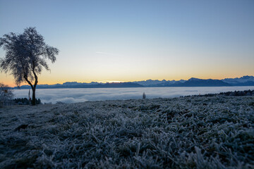 Obraz premium Winter wonderland with sea of fog over Swiss midlands with panorama of the Alps