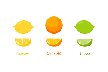 A set of citrus fruits on a white background - lemon, orange, lime. Vector illustration.