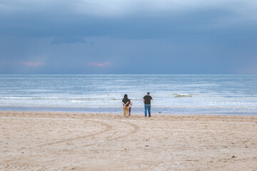 Fototapeta na wymiar Personnes qui regardent la mer en belgique plage de middelkerke 