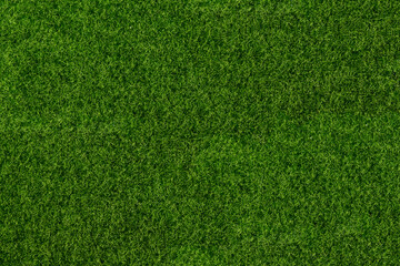 Green grass top view. Mowed lawn. Background for a project on the theme of ecology