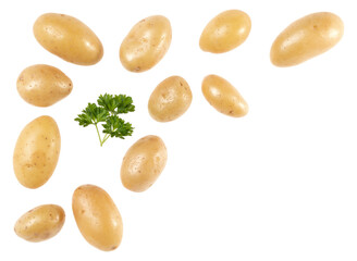 Potatoes and parsley isolated over white background with copy space for your text. Top view. Flat lay pattern. Potatoes in air, without shadow..