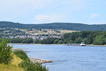 Fototapeta premium niedriger Wasserstand im rHein mit einem leichten Frachtschiff