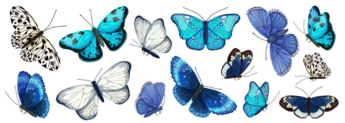 Large collection of colorful blue and white butterflies. Cartoon vector graphics.