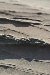 Vertical shot of sediment strata shown in the surface of sandstone