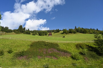 Obraz premium Gerlos mountains