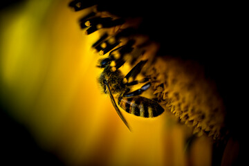 Working bee