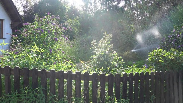 Gartenbew&auml;sserung bei einer Hitzewelle