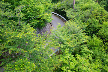 Hairpin tight corner of road - high angle shot through trees