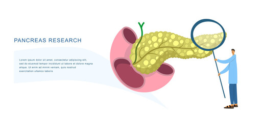Tiny physician examines human pancreas with magnifier to diagnose its diseases. Medical observation flat vector banner for diagnostic center, laboratory, clinic, research institution, conference etc. 