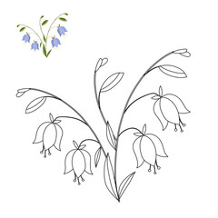 Blue bell flower with green leaves. Coloring book for children.