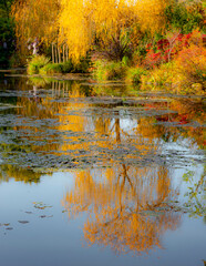 calme & tranquilité dans les jardins de Monnet
