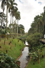 Sao Paulo Botanic Garden 