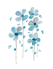 Blue  flowers watercolor painting - hand drawn blossom isolated on white background