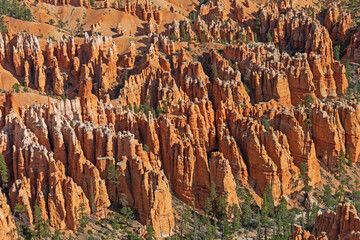 Hoodoo Details in a Western Canyon