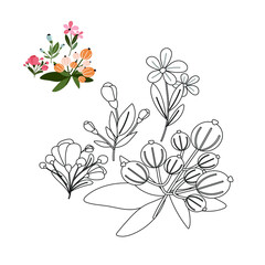 Spring flowers for Coloring book 