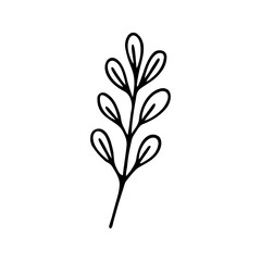 Hand drawn herbal, floral clipart. One line doodle vector