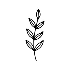 Hand drawn herbal, floral clipart. One line doodle vector