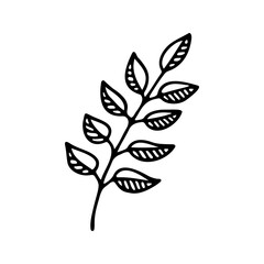 Hand drawn herbal, floral clipart. One line doodle vector