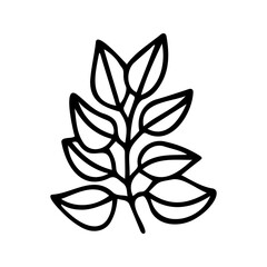 Hand drawn herbal, floral clipart. One line doodle vector