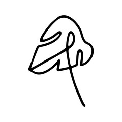 Hand drawn herbal, floral clipart. One line doodle vector