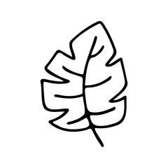 Hand drawn herbal, floral clipart. One line doodle vector