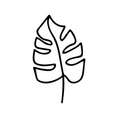 Hand drawn herbal, floral clipart. One line doodle vector