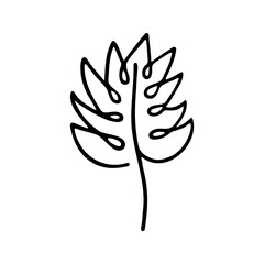 Hand drawn herbal, floral clipart. One line doodle vector