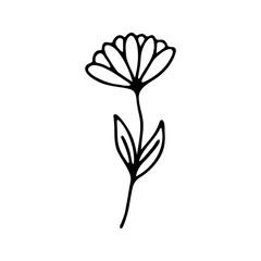 Fototapeta na wymiar Hand drawn herbal, floral clipart. One line doodle vector