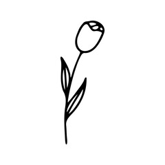 Hand drawn herbal, floral clipart. One line doodle vector