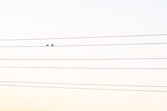 two pigeons sitting on the wire in the air, minimalism, Slovakia, Europe