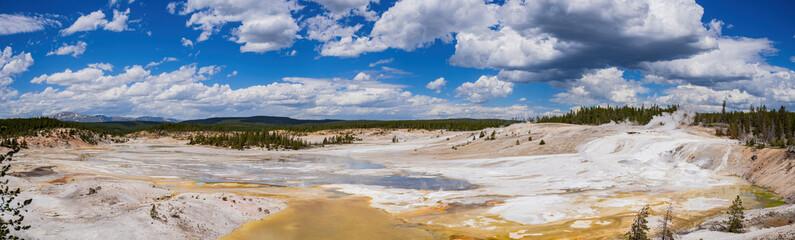 Sunny view of the landscape around Norris Geyser Basin in Yellowstone National Park