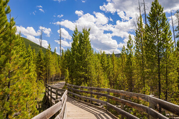 Fototapeta premium Sunny view of the landscape around Artists Paintpots in Yellowstone National Park