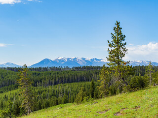 Beautiful landscape along the Yellowstone Lake Overlook Trail