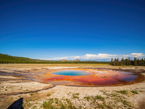 Sunny view of the beautiful Opal Pool
