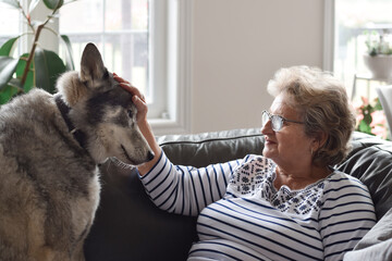 Senior woman sitting on couch at home petting husky dog