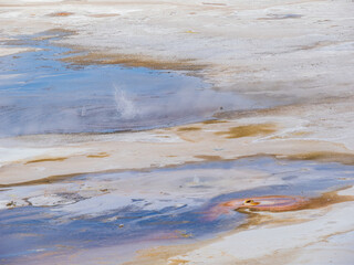 Sunny view of the landscape around Norris Geyser Basin in Yellowstone National Park