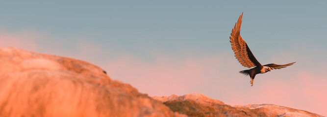 Eagle