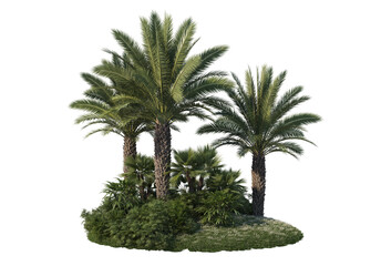 Gardens and palm trees on a white background