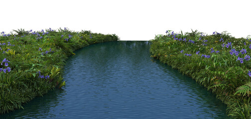 Canal plants on a white background.