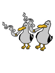 2 Kiffer Möwen Freunde 