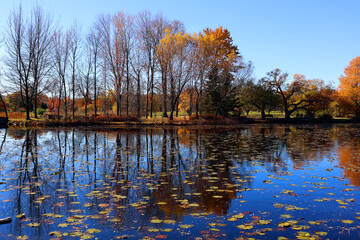 Fall landscape Montreal Quebec province Canada