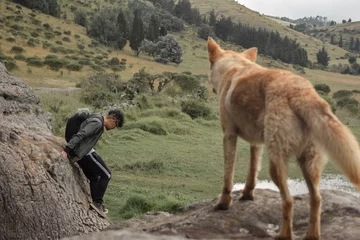 Fotobehang Perro salvaje a punto de atacar a un joven explorador © PhotoFL